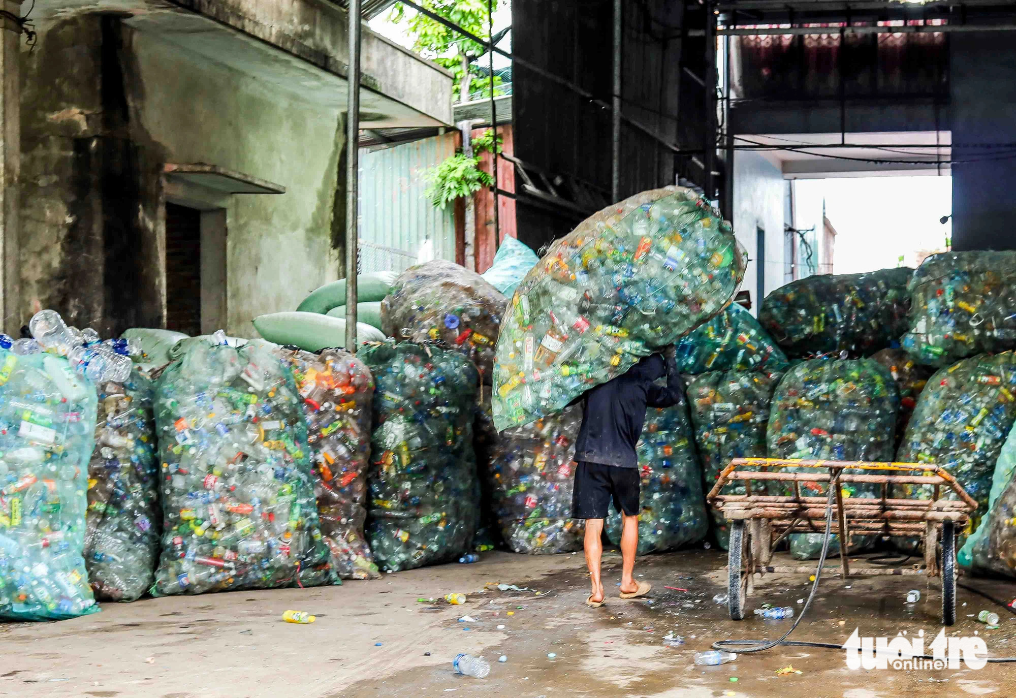 Một người đàn ông làm ở xưởng xay vác trên lưng bao tải phế liệu để tập kết vào nhà kho - Ảnh: THÚY TRANG