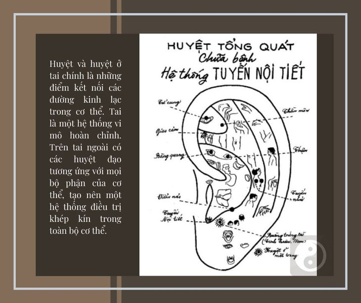 Kỳ thú xem bệnh và chữa bệnh qua loa tai bé nhỏ - Ảnh 2.