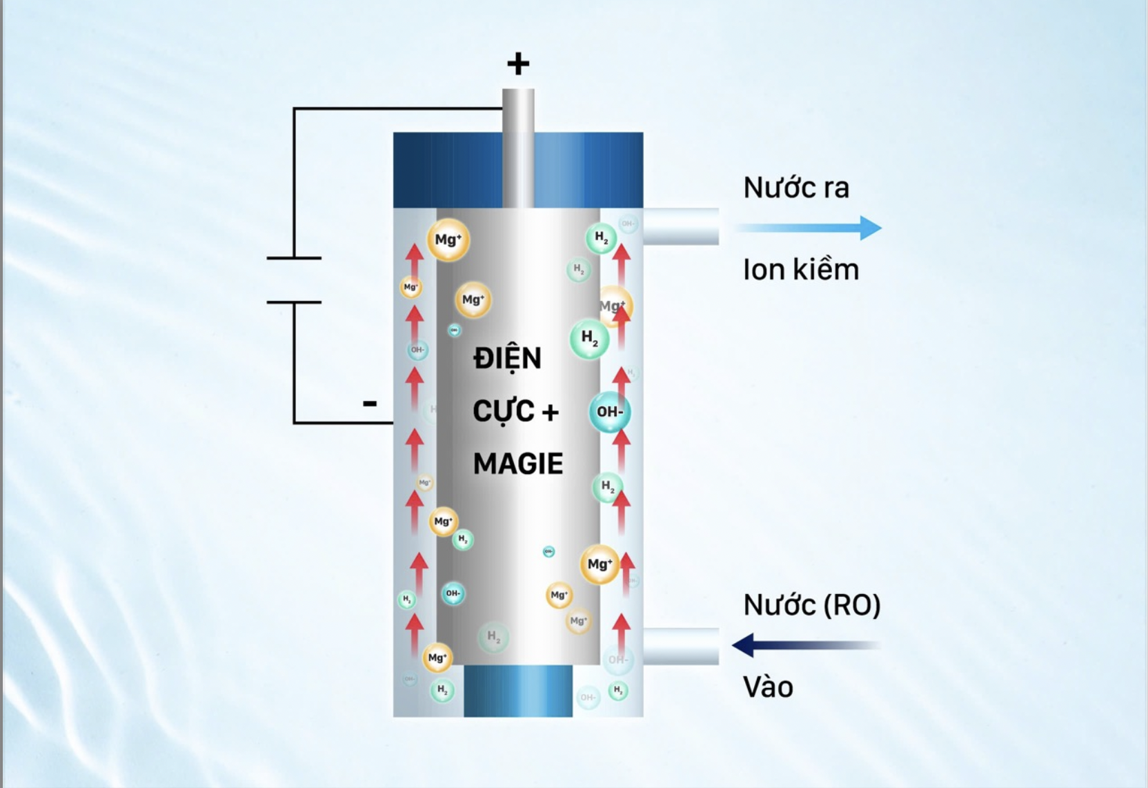 Daikiosan, Makano thương hiệu máy lọc nước ion kiềm duy nhất tại Việt Nam được cấp bằng độc quyền - Ảnh 2.